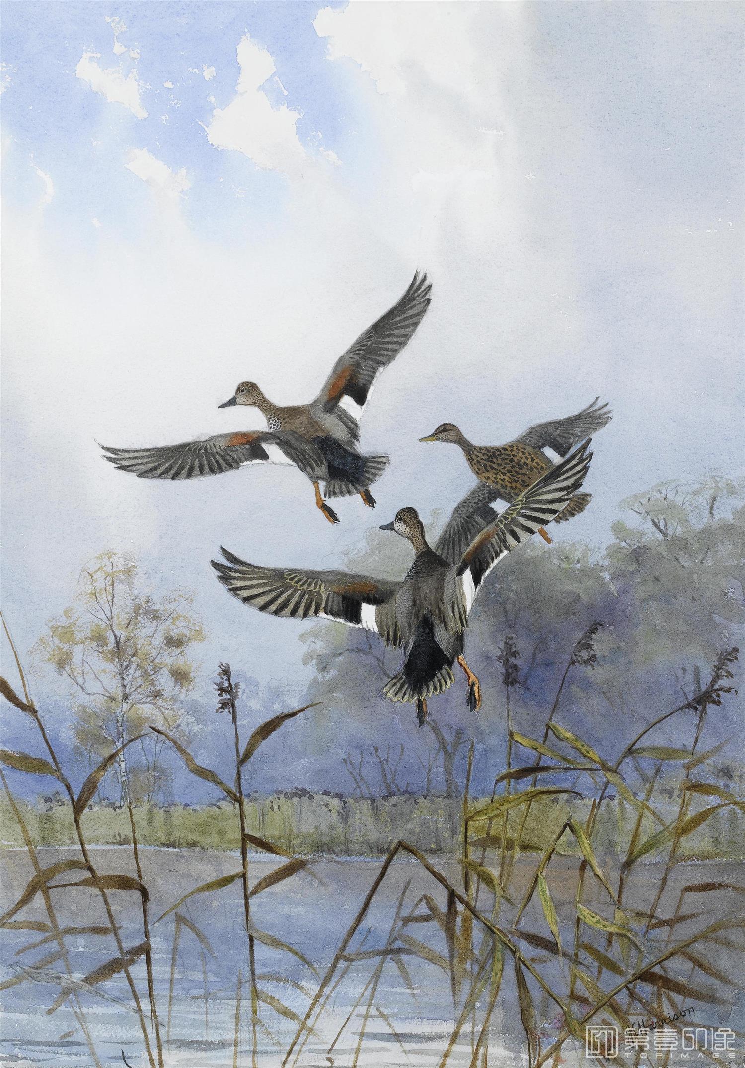 油画-约翰.赛里尔·哈里森 John Harrison作品集-109